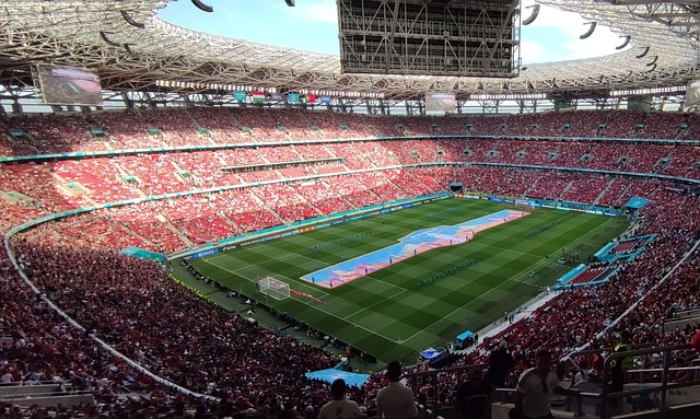 阿羅約回憶 阿羅約回憶