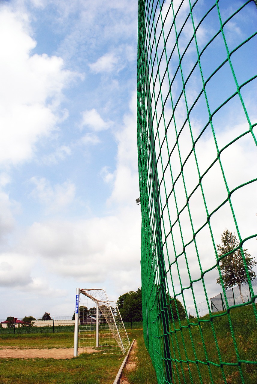 这种良性互 这种良性互