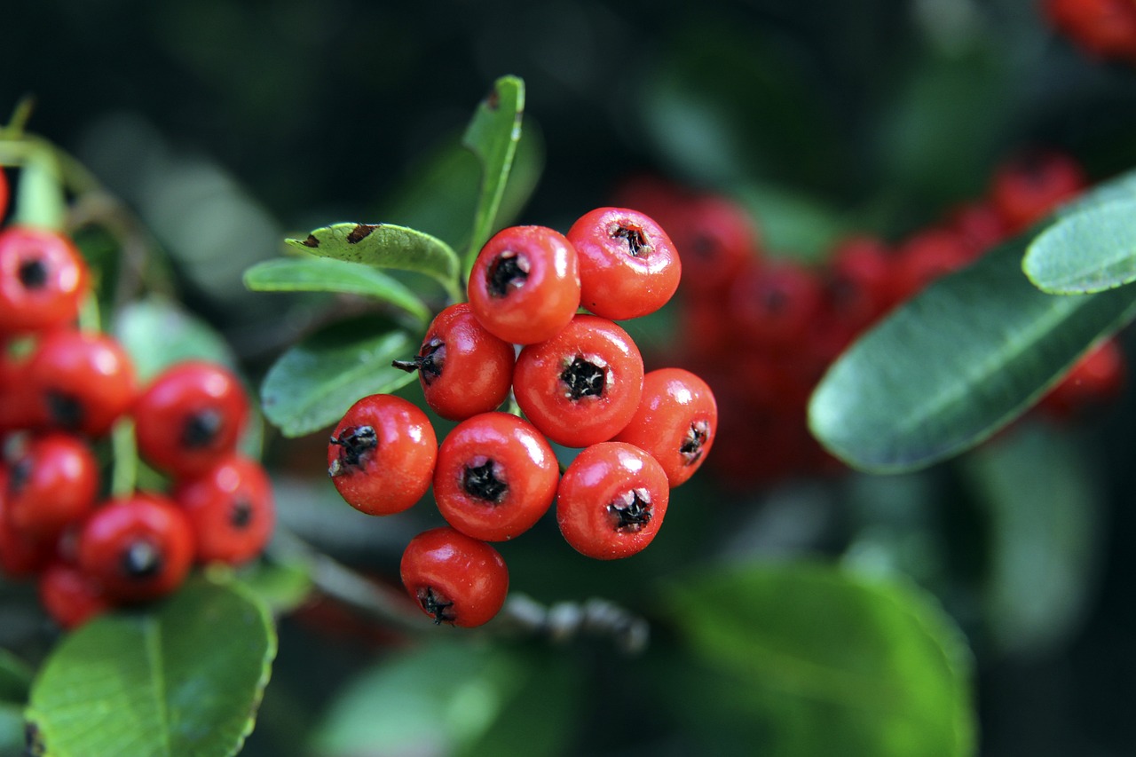 越多人的关 越多人的关