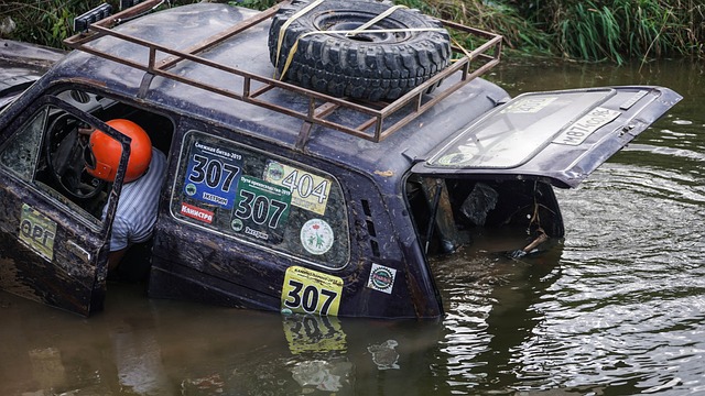 共同迎接未 共同迎接未