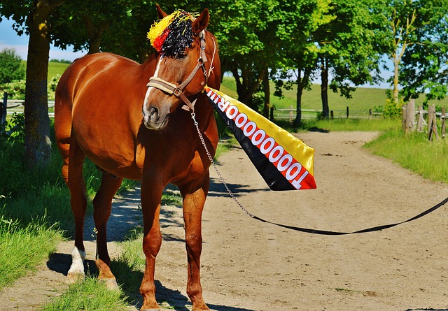 中场核心 中场核心